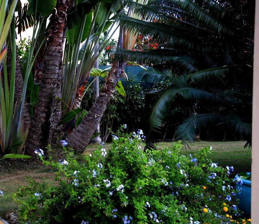 Habitation De L'anse Mancenillier *