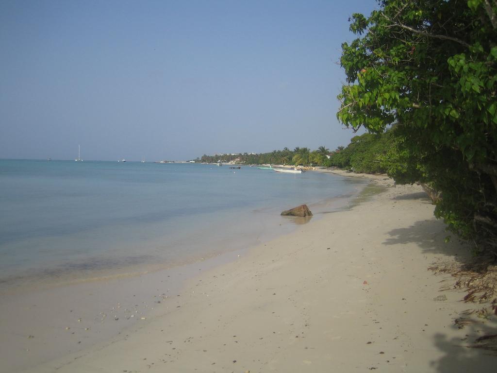 Habitation De L'anse Mancenillier Villa *